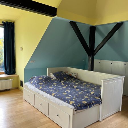 Dom Z Ogrodem Blisko Centrum Poznań Eksteriør bilde